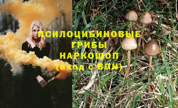 шишки Алексин