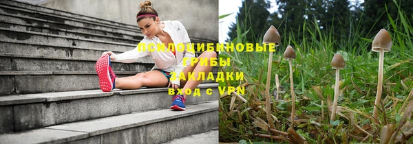 стафф Алзамай