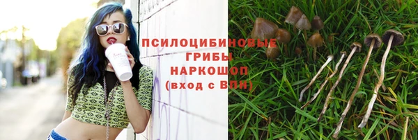 шишки Алексин